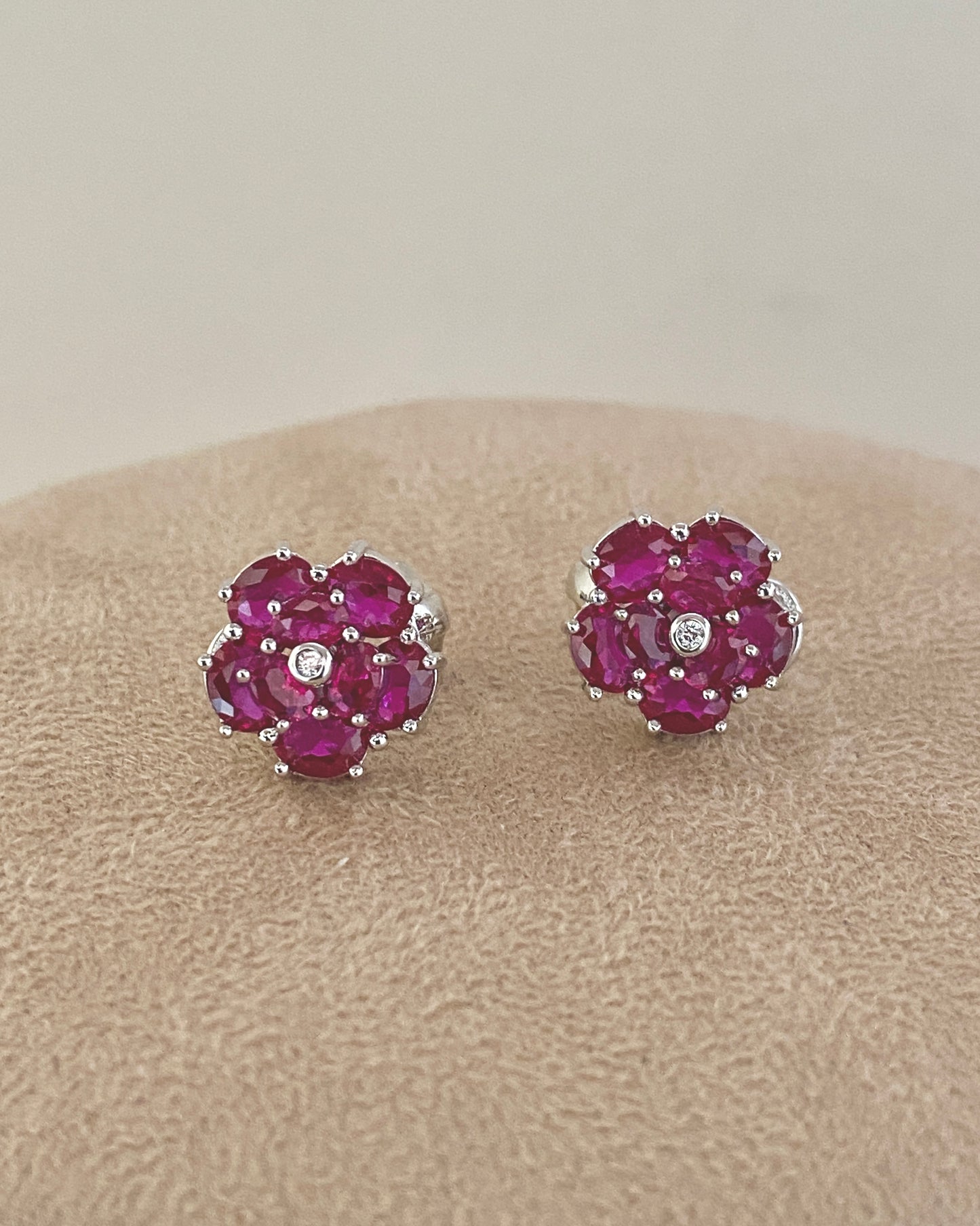 Color Bloom Set